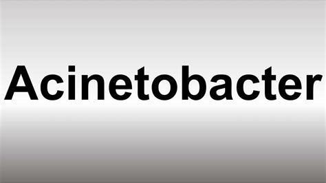 How to Pronounce Acinetobacter .
